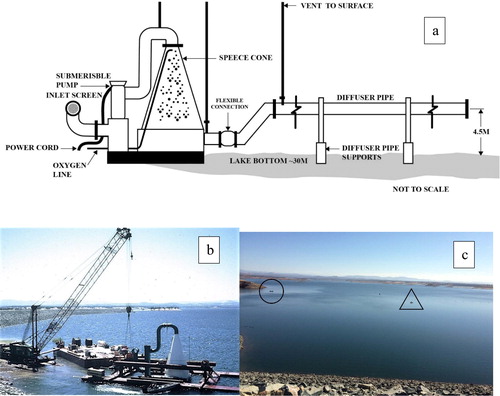 Figure 1. The Camanche Reservoir Speece cone. (a) Diagram of the cone, side view (from Brown and Caldwell, Citation1995). (b) Cone assembly by the dam (Pan Marine Construction). Cone is the large, 7 m high, white structure on right; large inlet and pump pipes to top of cone are dark. Outlet manifold (not shown) attaches to bottom left of cone. (c) Final location of the submerged Speece cone is marked by a buoy (inside triangle) 180 m from dam for which the rock face is at bottom. A 3.5 m long fishing boat (circle) just outside line of small marker buoys shows scale. Photo shows the first 5 km of the reservoir, which holds most of the reservoir volume.