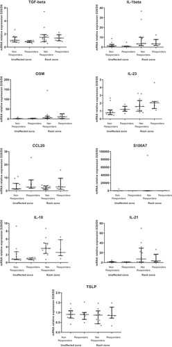 Figure 4. (Continued)