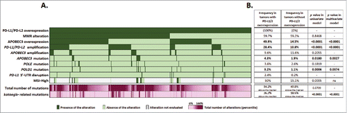 Figure 1. Distribution of common molecular alterations in PD-L1/2 overexpressed tumors (part A). Molecular alterations were ordered by descending frequency in the subset studied (n = 469 tumors), except for MSI-High as too many tumors were not evaluated for this marker. Each column represents a tumor. Dark green: tumor exempt of alteration. Light green: tumor not presenting the mutation. Gray: alteration not evaluated in the tumor. Purple: total number of mutations and kataegis-related mutations observed in each tumor, represented in percentile (minimum: light purple, maximum: dark purple). Frequency of alterations in comparison to non PD-1 ligand overexpressed tumors (part B). The table presents frequencies of alterations in both PD-1 ligand overexpressed and non-overexpressed tumors, p values of the univariate analysis and p values obtained in the final model of prediction for PD-1 ligand overexpression. Median alterations counts were 66.5 total mutations and 0 kataegis-related mutations per tumor. PD-L1 3′-UTR data were extracted from Ref. Citation11. This factor is displayed for descriptive purpose only and was not included in the analysis. Abbreviations. APOBEC = apolipoprotein B editing complex; MMR = mismatch repair; MSI = microsatellite instability; MSI-high = microsatellite instability high; ns = non-significant; 3′-UTR = 3′ untranslated region.