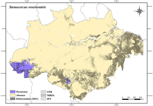 Figure 122. Occurrence area and records of Stenocercus roseiventris in the Brazilian Amazonia, showing the overlap with protected and deforested areas.