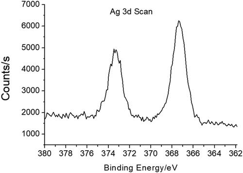 Figure 4. X-ray photoelectron spectroscopy of CA-AgNPs.