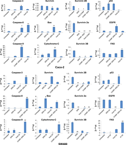 Figure S6 Gene expressions studies carried out in colon cancer cells. In order to evaluate the effect of SR9 and CHNP–SR9 on the gene expression of various pro-apoptotic and anti-apoptotic markers, quantitative real-time PCR studies were conducted, and it was observed that the gene expression results showed that Bax was upregulated when compared to untreated, whereas WT survivin and its splice variants survivin 2B, 2α, and 3B were downregulated. Cytochrome-C, p53, caspase-9, caspase-8, and caspase-3 were also upregulated when compared to untreated. FAS expression did not vary in Caco-2, whereas it was found to be upregulated in SW480 cells. EGFR expression was upregulated with SR9 but downregulated with nanoparticles. *P<0.05, **P≤0.01.Abbreviations: CHNP, chitosan nanoparticles; EGFR, epidermal growth factor receptor; PCR, polymerase chain reaction; SR9, cell-permeable dominant negative survivin SurR9-C84A; 2-^^ct, fold change in gene expression; WT, wild type; Caco-2, colon adenocarcinoma cells.