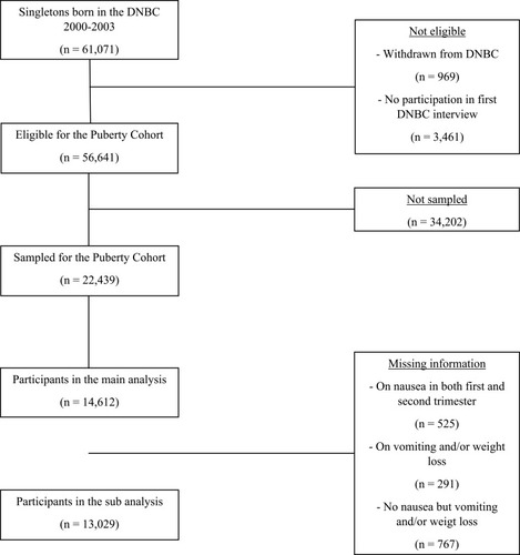 Figure 1 Flowchart of participants in the Puberty Cohort, Denmark, 2012–2018.