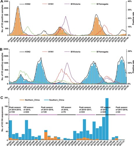 Figure 1. Epidemiological surveillance of seasonal human influenza in China since October 2014. Panels A and B show the epidemiological surveillance data of seasonal human influenza in northern and southern China since October 2014, respectively. In panels A and B, the bars represent the number of H3 positive samples, while the curves represent the positive rates of A/H3N2, A/H1N1, B/Yamagata and B/Victoria. Panel C shows the distribution of the 1417 strains newly sequenced in the present study.