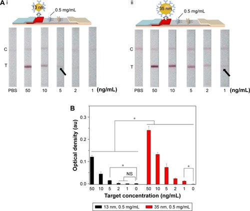 Figure 4 The effect of GNP diameter on LFIA performance.Notes: (A) The schematic diagram and results of the LFIA with 13±3 nm GNP (i) and 35±3 nm GNP (ii). (B) Optical density analysis of (A) (n=3, *P<0.05). (The arrows reference the detection limit of the results).Abbreviations: GNP, gold nanoparticle; LFIA, lateral flow immunoassay; NS, no significance; PBS, phosphate-buffered saline; C, control line; T, test line.