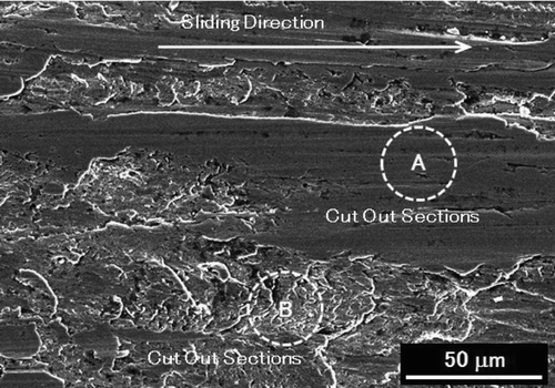 Fig. 2 Sections A and B (circled) were cut out for TEM samples using the FIB technique.