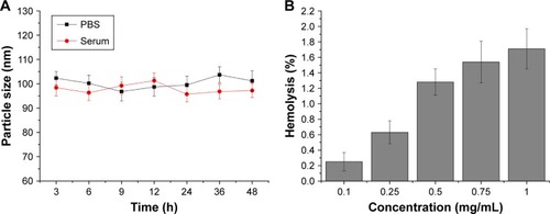 Figure 2 (A) Colloidal stability of LDNLC in PBS (pH 7.4) at 37°C for up to 48 h. (B) Hemolysis of LDNLC at various concentrations. Data were shown as mean ± SD (n = 3).Abbreviations: LDNLC, NLC co-delivering Lapa and DOX; DOX, doxorubicin; NLC, nanostructured lipid carrier; Lapa, β-lapachone.