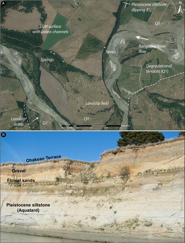 Figure 12. A) Aerial photograph of paleo-channels observable as micro-topography on the Last Glacial Maximum surface (LGM) (NZGD2000 -40.006514 S, 175.576372 E). These channels are related to shallow groundwater springs and seeps where interception occurs by the modern day fluvial erosion of the Rangitikei River and its tributaries. Underlying Pleistocene siltstone dipping gently to the SW creates a sloping aquitard surface beneath the more permeable Late Quaternary gravels. B) Example of the undulating surface of erosion beneath an Ohakean Terrace (LGM surface) (NZGD2000 -40.081486 S, 175.466938 E); fine to medium grained fluvial sand is intermixed with gravel within channel cut and fill overlain by further gravels. This photo is included to illustrate some of the variability within Late Quaternary Terraces. Terrace deposits have been observed with incorporated logs and boulders highlighting the inherent danger of overgeneralising these highly variable hydrostratigraphic units.