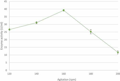 Figure 8 The effect of agitation on xylanase production by the identified Trichoderma harzianum isolate, produced during submerged fermentation at 70°C, pH 5.0 for 5 days. Data points represent the means ± SD (n = 4).