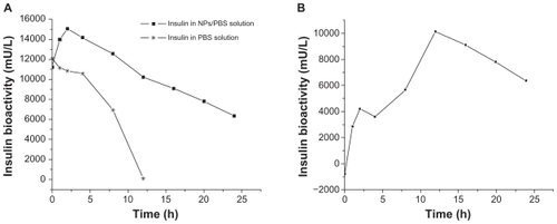 Figure 5 The bioactivity of insulin versus time in PBS and NPs/PBS solution (A), as well as released from the NPs calculated by the bioactivity in NPs/PBS solution minus the bioactivity in PBS (B).Abbreviations: NP, nanoparticle; PBS, phosphate buffered saline.