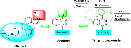 Figure 1. Compound design based on structure similarity with the anticancer drug, olaparib.