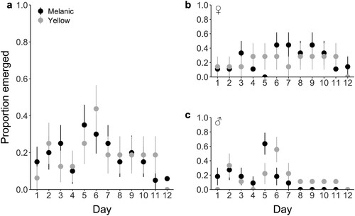 Figure 4. a) The proportion of Hemideina maori that emerged within their tanks over a 12-day period after initial acclimation. Melanic wētā (nfemale = 9, nmale = 11) are shown in black, and yellow wētā (nfemale = 7, nmale = 9) are shown in gray. b) The proportion of female H. maori that emerged within their tanks, and c) The proportion of male H. maori that emerged within their tanks. Mean and standard error of means are represented.