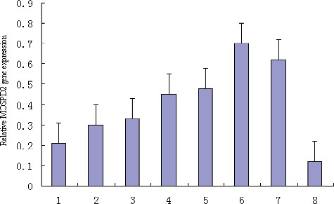 Figure 6. Tissue expression profile analysis of the porcine MOSPD2 gene: 1, skin; 2, kidney; 3, heart; 4, spleen; 5, fat; 6, muscle; 7, liver; 8, lung.