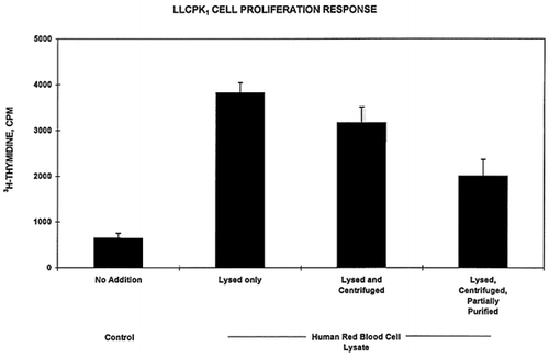 Figure 3. Effect of human RBC lysate preparations on LLC-PK1 mitogenesis as assessed by 3H-thymidine incorporation. Each bar represents the mean ± SEM of actual cpm for five samples studied under each (no addition/control, lysed only, lysed and centrifuged, and lysed, centrifuged and partially purified by G-25 column passage) condition. Centrifugation and centrifugation plus column passage each produced a modest but significant (P < 0.05) reduction in 3H-thymidine uptake relative to the lysed preparation that was neither centrifuged nor passed over the G-25 column.