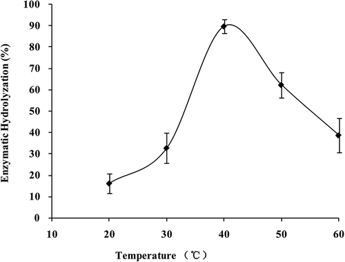 FIGURE 7 Collagenase activity of S. monotuberculatus with different temperatures.