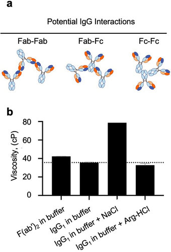 Figure 1. Dominant contribution of Fab-Fab interactions to the high viscosity of an anti-GCGR IgG1 antibody. (a) Cartoon illustrating possible modes of self-interaction involving different regions of IgG. (b) The viscosity of the anti-GCGR IgG1 parent antibody and its corresponding F(ab’)2 fragment was measured at 180 mg/mL in a low-salt buffer: 20 mM histidine acetate, pH 5.5 at 25 °C. The viscosity of the anti-GCGR IgG1 was also determined in the presence of the same buffer supplemented with either 180 mM NaCl or 180 mM arginine-HCl. The dotted line shows the viscosity of the IgG1 antibody in buffer alone as a reference.