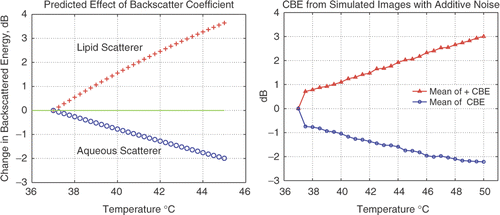 Figure 1. Left: CBE predicted over the temperature range employed in this study using Equation 1 for single lipid and aqueous scatterers with thermal properties given in our initial theoretical study Citation[16]. Right: CBE from simulated B-mode images with collections of scatterers in the presence of noise Citation[20].
