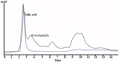 Figure 8. HPLC chromatograph of G. trichophylla methanol extract and gallic acid at 280 nm.