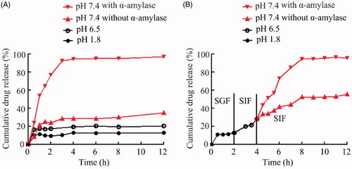 Figure 2. In vitro pH-dependent and enzyme responsive drug-release profiles of CD–Cur–CANPs. (A) Permeation rates of Cur in three different pH media (pHs 1.2, 6.8, and 7.4 with or without α-amylase, respectively). (B) Permeation rate of Curin gradually pH-changing medium (with or without α-amylase at pH 7.4) for 12 h.