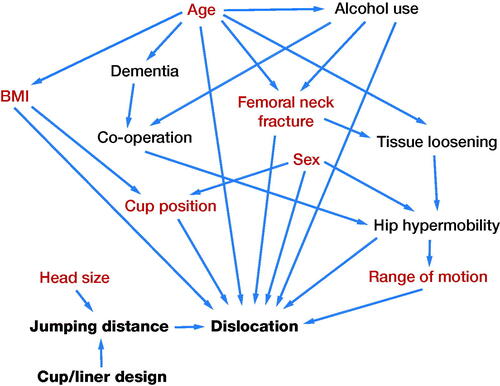 Figure 2. The directed acyclic graph. Factors indicated in red were included in multivariable logistic regression analyses.