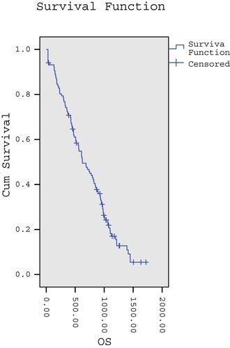 Figure 2 Kaplan – Meier curve showing the median overall survival in patients with unresectable hepatocellular carcinoma treated using raltitrexed plus oxaliplatin-based TACE.
