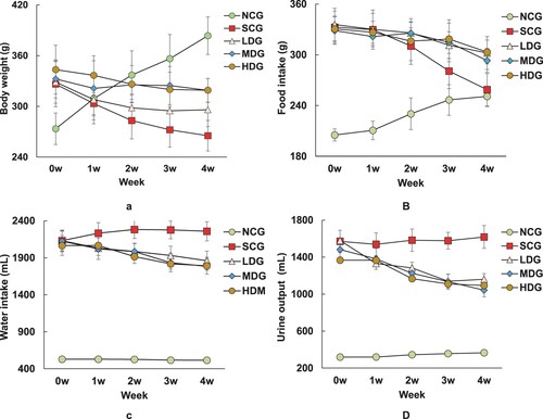 Figure 1. Effects of banana powder intervention on body weight, food intake, water intake and urine output in normal control group of non-diabetic rats (NCG), standard chow (SCG), and low (LDG), middle (MDG), and high dose (HDG) of banana starch intervention diabetic rats. (A) Bodyweight; (B) Food intake; (C) Water intake; (D) Urine output.