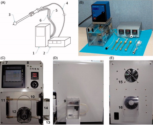 Figure 1. Schematic illustration and photographs of the newly developed hyperthermia device. (A) Schematic illustration of the prototype hyperthermia device used in the pre-clinical animal experiment. The device consists of a (1) water heater and pump, a (2) temperature display monitor, a (3) spherical hyperthermia implant, a (4) temperature sensor line, a (5) water inlet tube, and a (6) water outlet tube. (B) Photograph of the prototype hyperthermia device. Photograph of the (C) anterior (D) lateral and (E) posterior side of the modified hyperthermia device. The (7) temperature display monitor and the (8) control panels were on the anterior side. The (9) water tank was attached on the lateral side. The water would pass through the (10) upper tube from the water tank to the (11) water heater. The heated water would then pass through the lower tube and the (12) water pump. It would ultimately be pumped out through the (13) water outlet tube to heat up the spherical hyperthermia implant. The temperature sensor was connected to the (14) sensor connector. There were (15), (16) fans on the posterior side of the device for cooling.