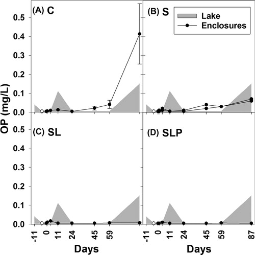 Figure 3. Ortho-phosphate (OP) concentrations (mg/L) in enclosure experiment. Treatments: C (control, panel A), S (sand capping, panel B), SL (sand capping + LMB, panel C), SLP (sand capping + LMB + PAC, panel D). The gray areas indicate the OP concentration in the lake (days −11 to 87). Open symbols indicate the OP concentration on day −4, at 1.5 h after sand addition. Error bars indicate 1 SE (n = 3). In panel B the course of OP in each replicate is presented.