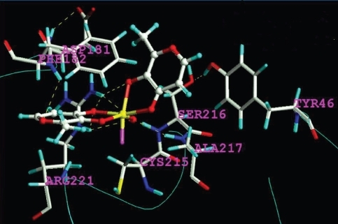 Figure 3 Result of the computed binding mode of the “closed-type cis-aquo-BMOV” complex at the active site (stick representation of 3D-model). Element color code: white C, light blue H, red O, dark blue N, yellow S or V, magenta LP.