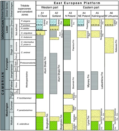 Figure 3. A simplified correlation chart of the Miaolingian – Lower Ordovician in south-central Sweden, northern Baltic Basin, East Baltic area and the Moscow Basin. Yellow – sandstones, green – silt and shales, grey – dark shales and blue – limestones. See Fig. 1 for the location of the investigated section (B1–B6). Abbreviations: C = Cordylodus P. = Paltodus (conodonts); A. = Agnostus, E. = Eccaparadoxides, P. = Paradoxides, (trilobites), Fm = Formation. Revised from various sources (see text for details). The base of the Miaolingian in the Baltic region is drawn at the base of the Kybartai Formation, following Nielsen & Ahlberg (Citation2019). The stratigraphic chronology of the Kallavere Formation in western Lithuania follows Meidla et al. (Citation2022).