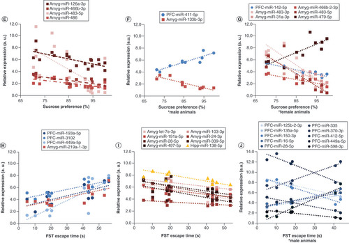 Figure 1. Behavioral effects of maternal separation and their correlation with miRNA expression. (A) MS animals exhibited significantly decreased sucrose preference (F1,16 = 9.16, p < 0.01). There were no sex differences in sucrose preference. (B) We found a trending increase in forced swim test escape time only in male animals (t4 = -2.51, p = 0.066). (C) In the elevated plus maze, male MS animals exhibited a trending increase in closed arm entries (t4 = -2.16, p = 0.097). (D) However, there were no group differences in the anxiety index; data are shown in mean ± standard error of the mean; *p < 0.05;#0.1 > p > 0.05. The relationship between miRNA expression and depressive behavior was shown using Pearson correlations (false discovery rate <0.05). (E) In all animals, percentage sucrose preference inversely correlated with expression of four miRNAs in the amygdala. (F) In males, sucrose preferences correlated positively with prefrontal cortex miR-411-5p and inversely with miR-133b-3p in the amygdala. (G) In females, six miRNAs were correlated with sucrose preference. (H & I) In all animals, four miRNAs were positively correlated (H) and eight were negatively correlated (I) with forced swim escape time. (J) In male animals, 88 miRNAs were significantly (false discovery rate <0.05) correlated with escape time; the top ten miRNAs are shown. Amygdala miRNAs are shown in red hues with square markers, prefrontal cortex in blue hues with circular markers, and hippocampal miRNAs in yellow hues with triangular markers. To aid in visualization, normalized counts per million values were scaled to fit within the same y-axis; therefore relative expression is an arbitrary unit of measure which maintains the slope of each significant correlation.MS: Maternal separation.