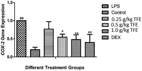 Figure 2. Effects of TFE on LPS induced COX-2 gene expression in lung tissues of LPS-induced ALI. (#compared with the control, *compared with LPS, *p < 0.05, **/##p < 0.01).