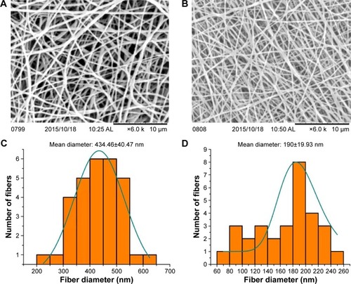 Figure 1 Nanofiber morphology and diameter distribution of fabricated electrospun membranes.Notes: Representative SEM images of PU (A) and bio-nanofibrous membrane (B). Diameter distribution histogram of PU (C) and PU-HN-PA (D) dressing materials.Abbreviations: HN, honey; PA, Carica papaya; PU, polyurethane; SEM, scanning electron microscopy.