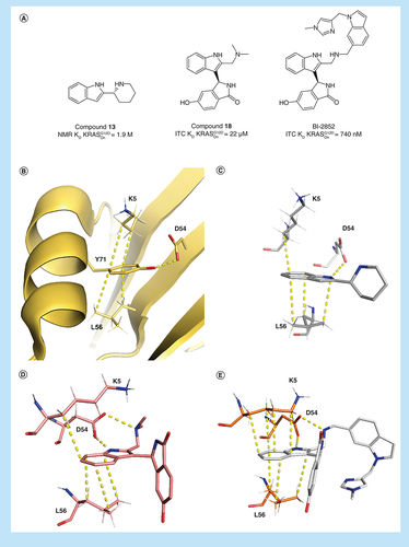 Figure 5. Optimization towards BI-2852. (A) Key compounds during optimization of BI-2852 with respective KD values in active KRASG12D. (B) Shows the apo KRASwt structure (4LPK), (C–E) shows key residues in the switch I/II pocket of active KRASG12D with 13 (6ZLI), 18 (6GJ6) and BI-2852 (6GJ8). Important CH–π interactions and H-bonds are marked with dotted lines.