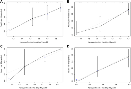 Figure 5 (A) The calibration curves for predicting SCLC patients’ OS 1-year in the main queue. (B) The calibration curves for predicting SCLC patients’ OS 2-year in the main queue. (C) The calibration curves for predicting SCLC patients’ OS 1-year in the validation queue. (D) The calibration curves for predicting SCLC patients’ OS 2-year in the validation queue.