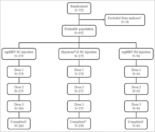 Figure 1. Participant disposition, † Potential non-compliance, ‡ Reason discontinued mpHBV SC = 15 (5.4%), Adverse event = 1 (0.4%), Lost to follow-up = 9 (3.2%), Pregnancy = 1 (0.4%), Withdrew consent = 4 (1.4%), § Reason discontinued Heptavax®-II SC = 29 (10.4%), Lost to follow-up = 8 (2.9%), Physician decision = 3 (1.1%), Pregnancy = 2 (0.7%), Withdrew consent = 16 (5.7%), || Reason discontinued mpHBV IM = 10 (10.6%), Lost to follow-up = 7 (7.4%), Physician decision = 1 (1.1%), Pregnancy = 1 (1.1%), Withdrew consent = 1 (1.1%).
