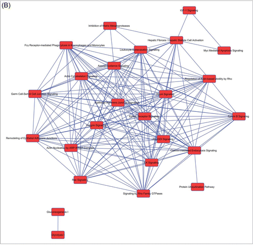 Figure 2. (Continued).