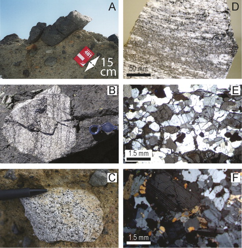 Figure 3 Photographs of field outcrops and thin sections. A, Abundant crustal xenoliths entrained in a phonolitic air fall deposit (163.37.771E; 78.27.245 S). B, A felsic granulite xenolith with characteristic foliation and leucocratic – mesocratic banding (163.49.675; 78.23.901). C, An alkalic syenite xenolith enclosed in volcanic breccia (164.06.094 E; 78.28.286 S). D, Dated specimen OU78656 in hand specimen. E, Thin section photograph in cross-polarised light (XPL) showing the typical texture observed in dated specimen OU78656. F, Thin section photograph in XPL showing the typical texture observed in dated specimen OU78658.