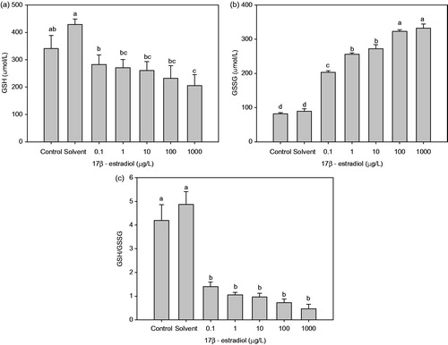 Figure 2. Effect of chronic 17β-estradiol exposure on the concentrations of glutathione in Perinereis aibuhitensis: (a) GSH (glutathione reduced), (b) GSSG (glutathione disulphide), and (c) the ratio of GSH to GSSG (different letters indicates significant difference between groups, p < 0.05).