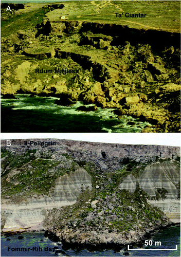 Figure 5. Rock-spreading and block-sliding phenomena affect large sectors of the coast (A). A large complex-landslide deposit reaches directly the sea following a pre-existing incision/depression developed on clayey terrains (B) (Courtesy of Ten. Col. M. Marchetti).