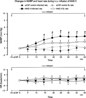 Figure 1 Changes in mean arterial blood pressure (MABP) and heart rate during intracerebroventricular (i.c.v.) administration of artificial cerebrospinal fluid (aCSF, control) and angiotensin II (ANG II) in SL and infarcted rats at rest. #Significant changes in MABP when compared with baseline during i.c.v. infusion of ANG II [F(7,56) = 4.823; P < 0.001], *significant difference in MABP changes between i.c.v. infusion of ANG II and aCSF at the corresponding time {interaction between ANG II infarct and aCSF infarct: [F(7,110) = 2.767; P < 0.05], difference between ANG II infarct and aCSF infarct: [F(1,15) = 21.710; P < 0.001]}. n = 8–9 rats per group.