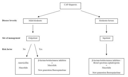 Figure 2 Algorithm for the selection of empirical antimicrobial agent in CAP.