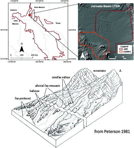 Figure 1. Location of the Jornada Basin is positioned on the northern portion of the Chihuahuan Desert in southern New Mexico with block diagram illustrating landforms.