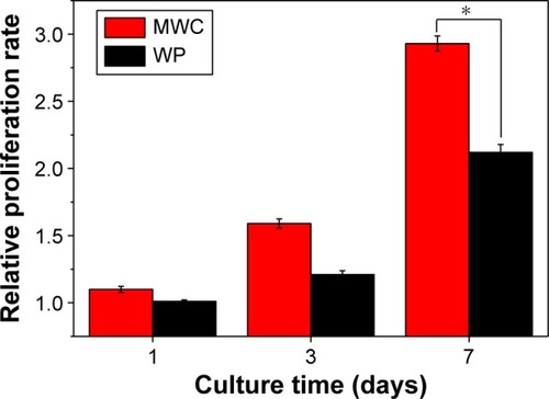 Figure 4 Proliferation of MC3T3-E1 cells cultured on MWC and WP scaffolds at different time intervals.Note: *P<0.05.Abbreviations: MWC, nano magnesium phosphate/wheat protein composite; WP, wheat protein.