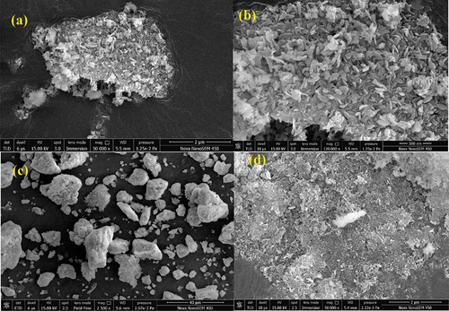 Figure 4. SEM images of PA-12/CuONPs (a-b), MO adsorbed PA-12/CuONPs (c), BG adsorbed PA-12/CuONPs (d).