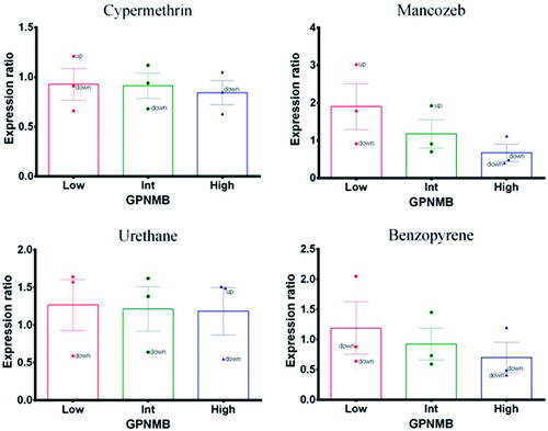 Figure 4. Glycoprotein non-metastatic B (GPNMB). Expression profile in exposed PBMC cultures. (A) Cypermethrin. (B) Mancozeb. (C) Urethane. (D) Benzopyrene.