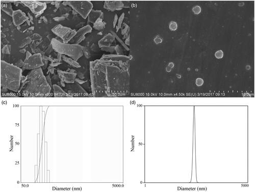 Figure 3. SEM pictures of (a) raw UA and (b) UANs; the histogram of particle size distribution (c) and the normal distribution curves (d) of UANs.