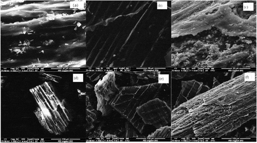 Figure 1. Scanning electron micrographs (SEM) images of biochars: (a) and (d) RB300, (b) and (e) RB450, (c) and (f) RB600.