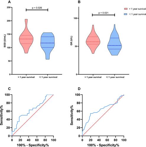 Figure 2 Serum levels of SOD and GR in the patients with Hip fracture after surgery grouped by one-year survival (A and B), and ROC curves of SOD and GR for one-year survival (C and D). (A and B) The patients who survived more than one year had significantly higher SOD levels (p = 0.026) than those who survived less than one year in the PSM population, as well as GR (p = 0.021); (C and D) Both SOD (AUROC: 0.635) and GR (AUROC: 0.640) were able to predict the 1-year survival according to the ROC curves.