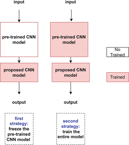 Figure 3. The first and second transfer learning and fine-tuning strategies.
